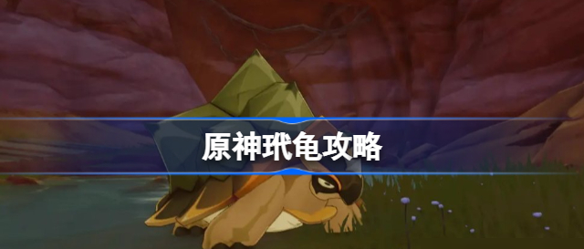原神乌龟怎么打-玳龟攻略