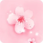 pr九尾狐正能量app