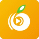 蕾丝视频永久入口