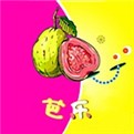 91手机看片软件免费下载