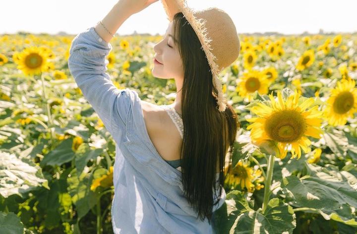 主流平台的资源