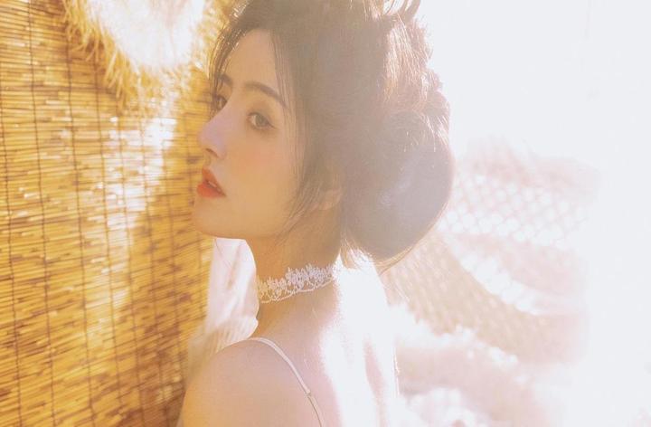 视频内容的多样性
