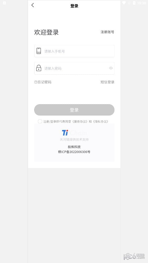 极枫艺术2