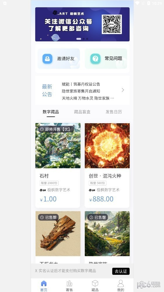 极枫艺术1