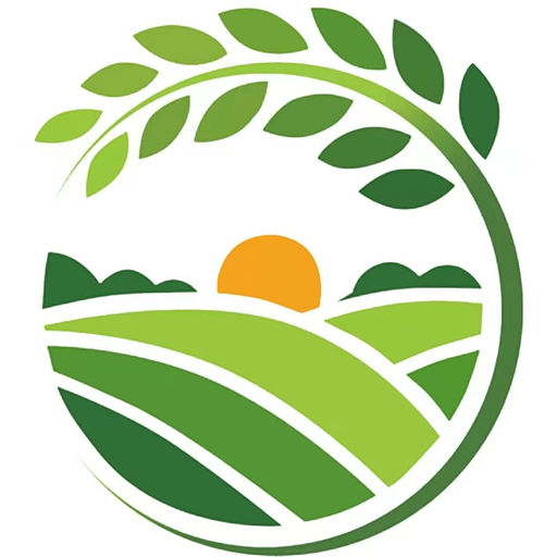 宸宇宝_logo