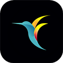 bebird蜂鸟挖耳勺app官方下载-bebird蜂鸟挖耳勺app最新版本v6.2.41